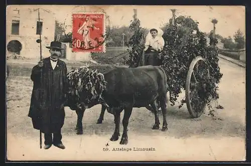 AK Attelgae Limousin, Mann mit einem Ochsengespann