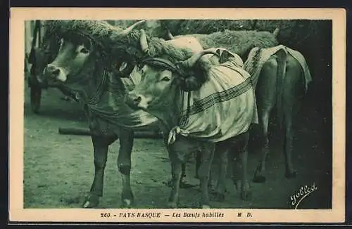 AK Pays Basque, Les Boeufs habillés