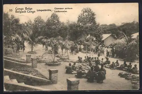 AK Leopoldville, Chameaux porteurs