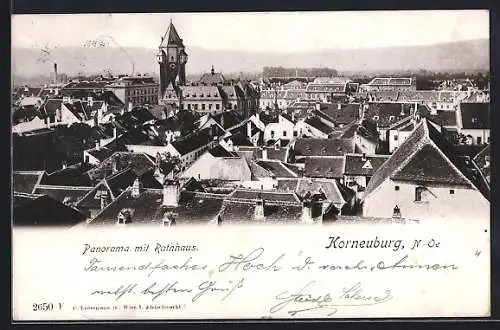 AK Korneuburg, Panorama mit Rathaus