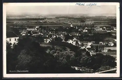 AK Mureck /Steiermark, Gesamtansicht am Fluss