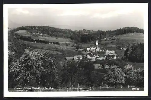 AK Nestelbach, Ortsansicht aus der Ferne