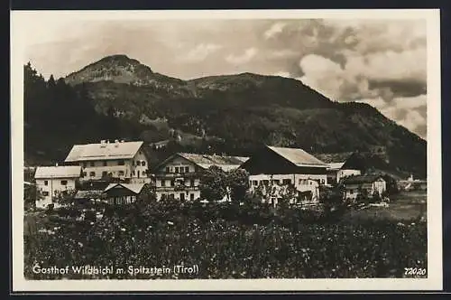 AK Wildbichl, Gasthof gegen Spitzstein