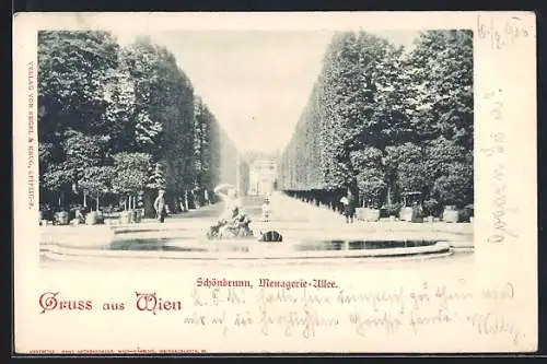 AK Wien, Schönbrunn, Menagerie-Allee