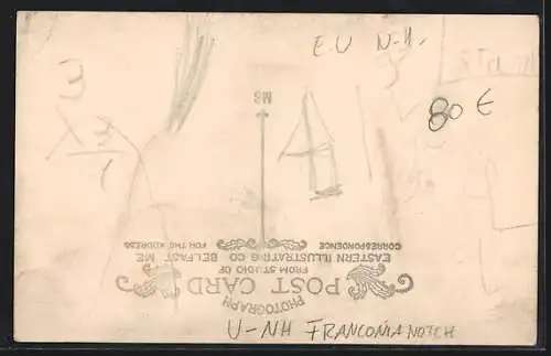 AK Franconia Notch, NH, Mann füttert die Bärenjunge Betsey und Bill