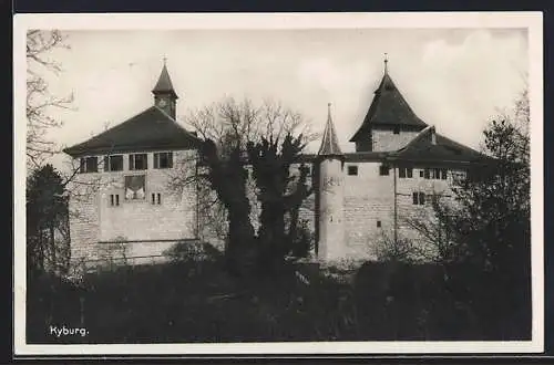 AK Kyburg, Ansicht der Burg