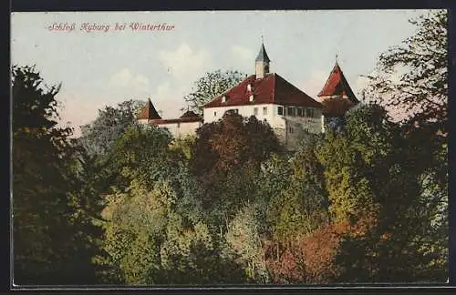 AK Winterthur, Schloss Kyburg