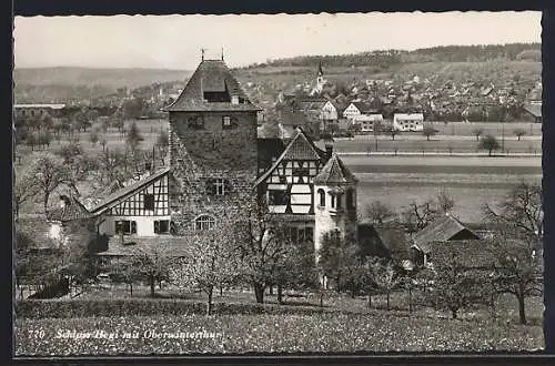 AK Oberwinterthur, Schloss Hegi in der Frühlingssonne