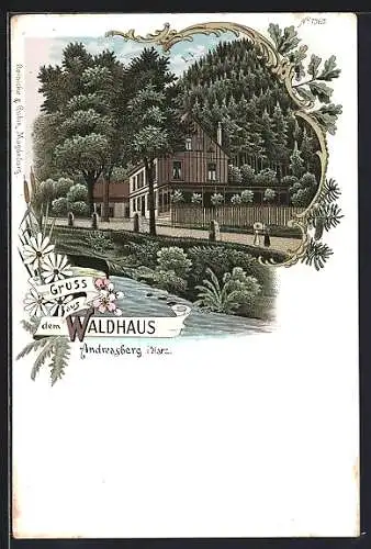 Lithographie Andreasberg i. Harz, Partie am Waldhaus