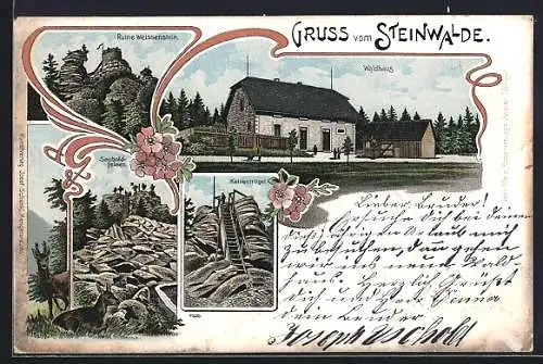 Lithographie Hohenhard, Steinwalde, Gasthaus Waldhaus, Ruine Weissenstein, Saubaldfelsen und Katzentrögel