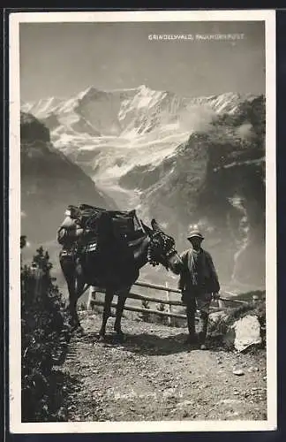 AK Grindelwald, Beförderung der Faulhorn-Post per Maultier