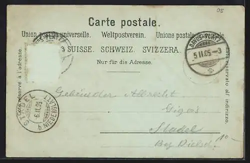 Mondschein-Lithographie Davos, Ortspanorama im Winter