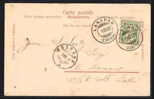 AK Langnau a. A., Gasthof z. Au von Karl Daniele und Totalansicht