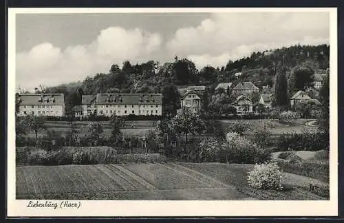 AK Liebenburg /Harz, Ortsansicht von einem Feld aus