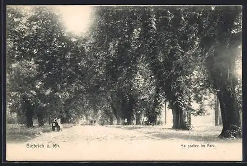 AK Biebrich a. Rh., Hauptallee im Park