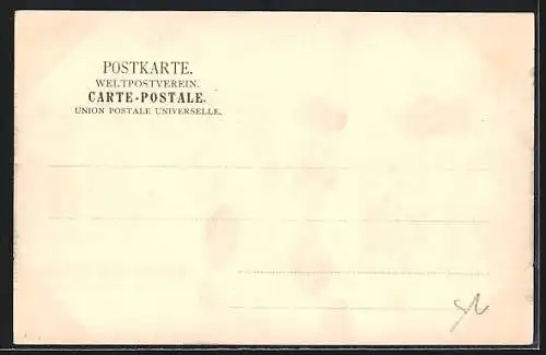 AK Braunschweig, Burg Dankwarderode