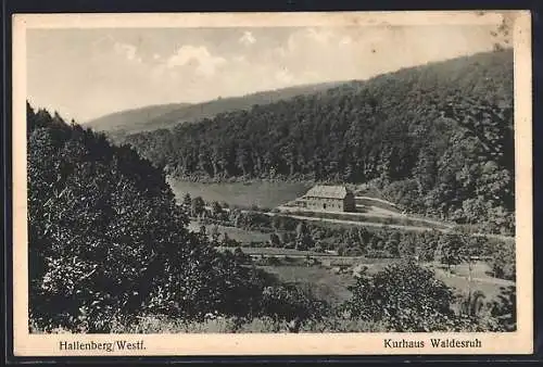 AK Hallenberg /Westf., Kurhaus Waldesruh