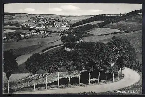 AK Pronsfeld /Eifel, Panorama aus der Vogelschau