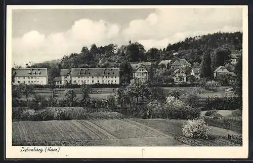 AK Liebenburg /Harz, Ortsansicht von einem Feld gesehen