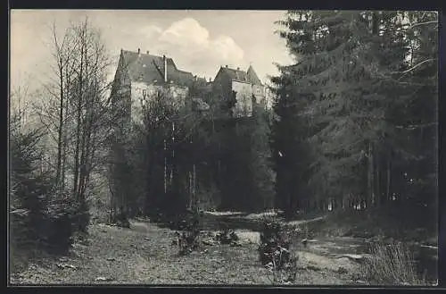 AK Reinsberg / Sachsen, Blick zum Schloss im Bobritzschtal