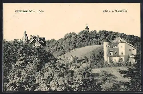 AK Freienwalde a. d. Oder, Blick n. d. Königshöhe