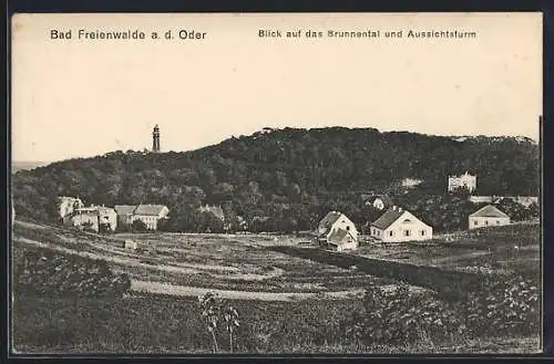 AK Bad Freienwalde a. d. Oder, Blick auf das Brunnental und Aussichtsturm