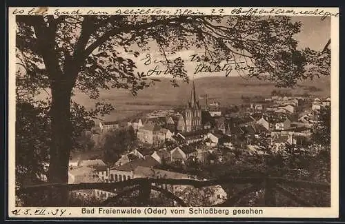 AK Bad Freienwalde /Oder, Ortsansicht vom Schlossberg aus