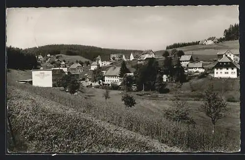 AK Eisenbach /bad. Schwarzwald, Ortsansicht von einen Berg aus