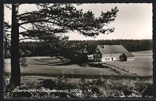 AK Oberbränd /Hochschwarzwald, Gasthaus-Pension Rössle