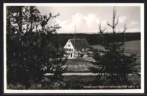 AK Oberbränd /Hochschwarzwald, Gasthaus und Pension Rössle