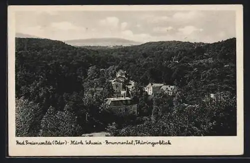 AK Bad Freienwalde /Oder, Brunnental, Thüringerblick