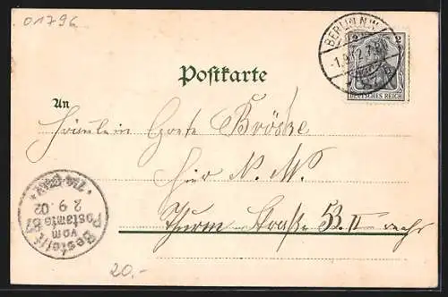 AK Pirna, Teilansicht, Dampfer