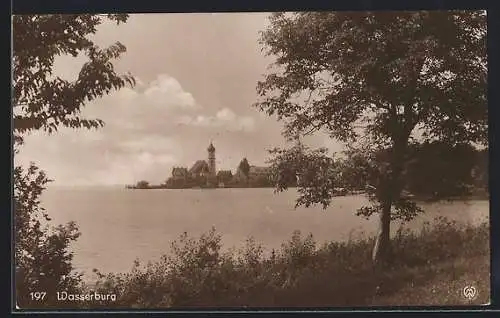 AK Wasserburg / Bodensee, Teilansicht mit Kirche vom Ufer aus