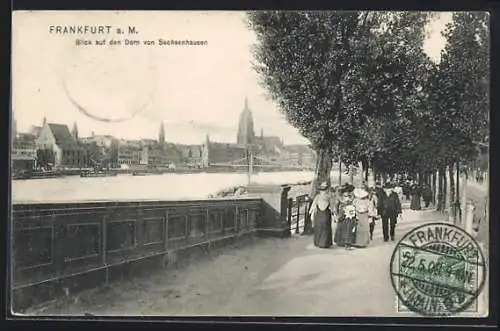 AK Frankfurt a. M., Blick auf den Dom von Sachsenhausen