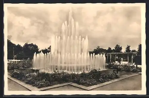 AK Chemnitz, Schlossteich-Anlagen, Springbrunnen