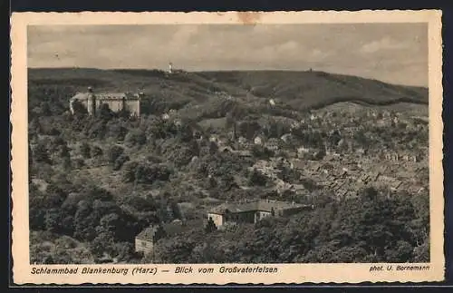 AK Blankenburg /Harz, Blick vom Grossvaterfelsen