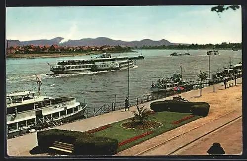 AK Bonn am Rhein, Blick auf das Siebengebirge