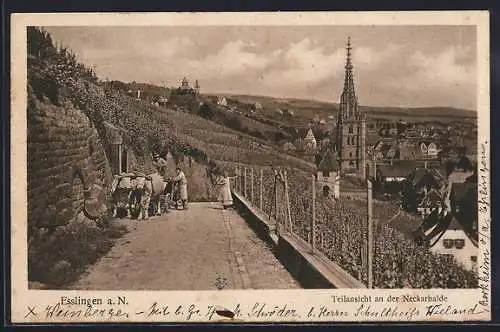 AK Esslingen a. N., Teilansicht mit Neckarhalde