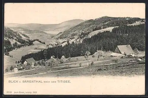 AK Bärental / Schwarzwald, Blick nach dem Titisee