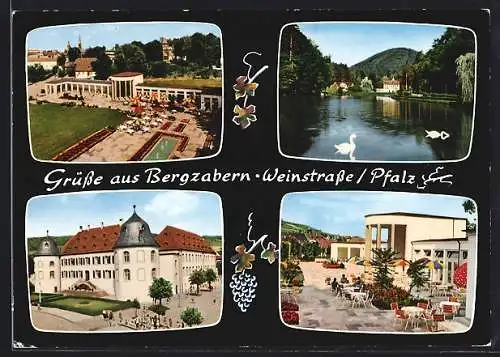 AK Bergzabern a. d. Weinstrasse, Café, Seepartie und Gartenanlage