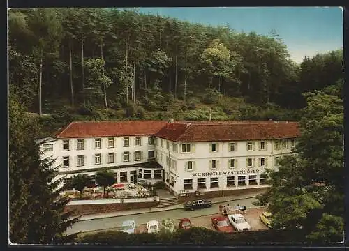 AK Bad Bergzabern, Kurhotel Westenhöfer, Ansicht vom Wald aus