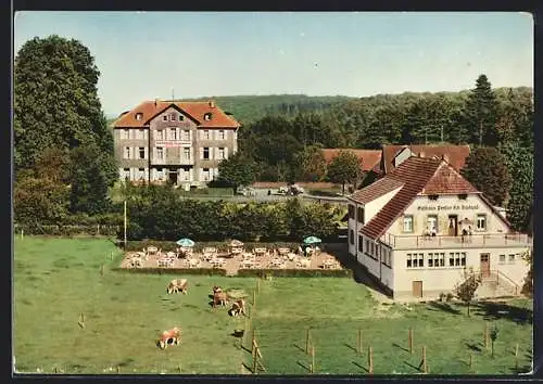 AK Johanniskreuz, Gasthaus und Pension Hch. Braband, Hotel und Kuhweide