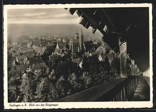 AK Esslingen a. N., Blick von der Burgtreppe