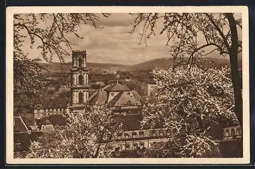 AK Saarbrücken, Teilansicht im Frühling, Ganzsache WHW Winterhilfswerk 1934 /35