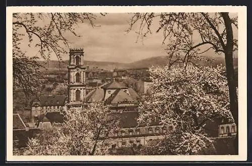 AK Saarbrücken, Teilansicht im Frühling, Ganzsache WHW Winterhilfswerk 1934 /35