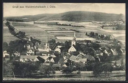 AK Waldmichelbach i. Odw., Ortsansicht aus der Vogelschau