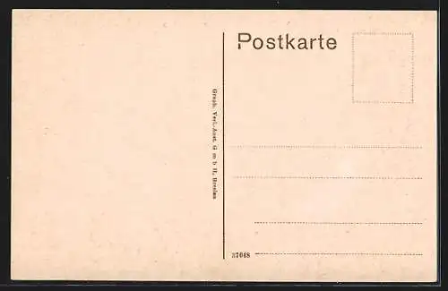 AK Lindau / Bodensee, Maximilian-Strasse mit Geschäften