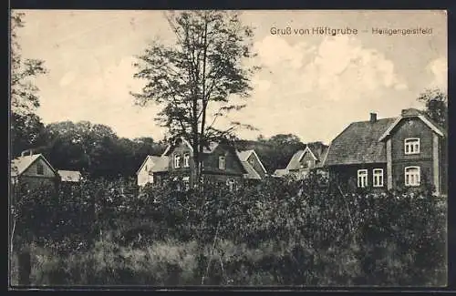 AK Höftgrube, Heiligengeistfeld, Wohnsiedlung