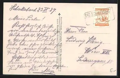 AK Bad Schallerbach, Provisorisches Badehaus
