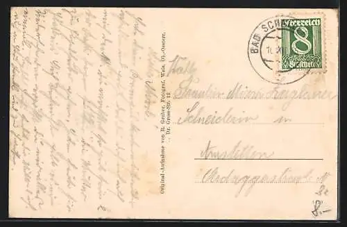 AK Bad Schallerbach, Bad, Sprudel, Rathaus, Ortsansicht